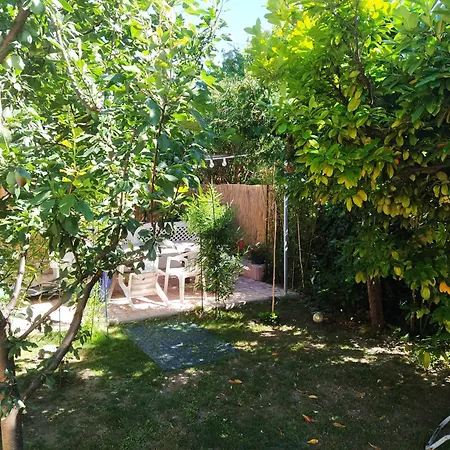 Agape Mini * 발라톤알마디